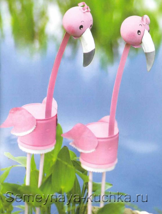 flamingo5
